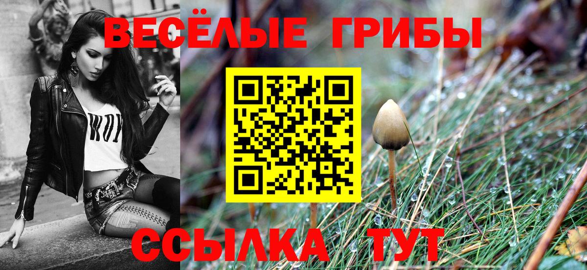 Галлюциногенные грибы Psilocybe Кострома