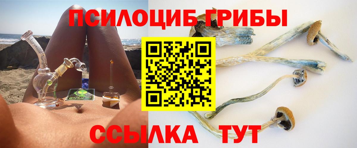 Псилоцибиновые грибы GOLDEN TEACHER  Вход с VPN  Кострома 